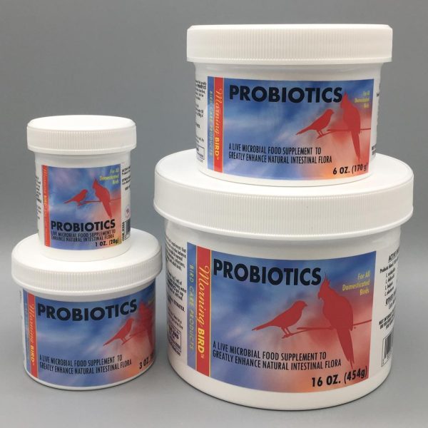 Morning Bird PROBIOTICS re-establish normal gut flora after diarrhea